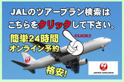 JAL̍q󌔂ƃzeZbgɂȂicA[\